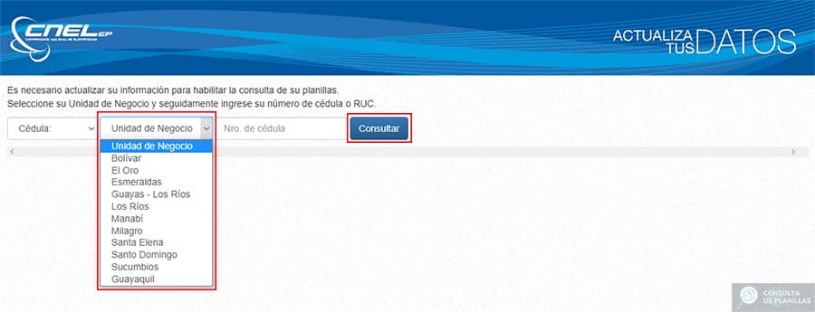 Guía paso a paso para consultar la planilla de luz de CNEL EP