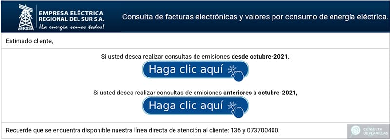 Guía paso a paso para consultar la planilla de luz de EERSSA