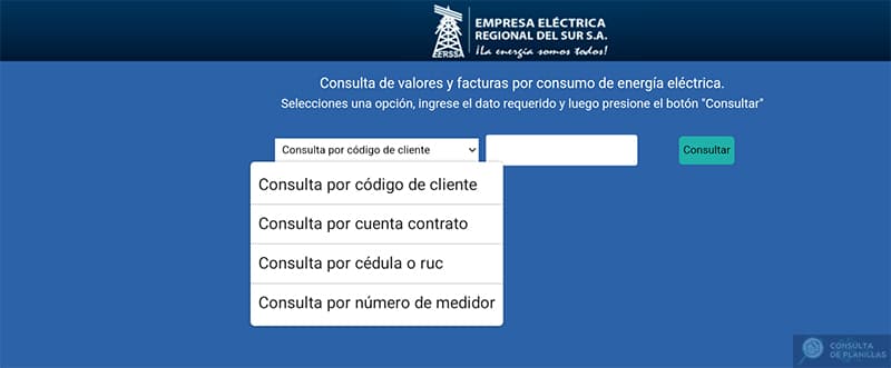 Guía paso a paso para consultar la planilla de luz de EERSSA