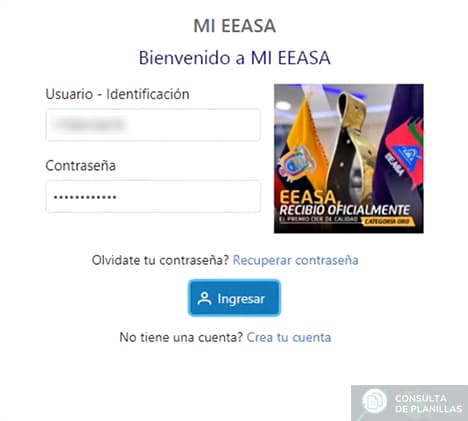 Guía paso a paso para descargar e imprimir la planilla de luz de EEASA