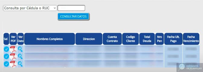 Guía para descargar e imprimir la planilla de luz de EERSSA