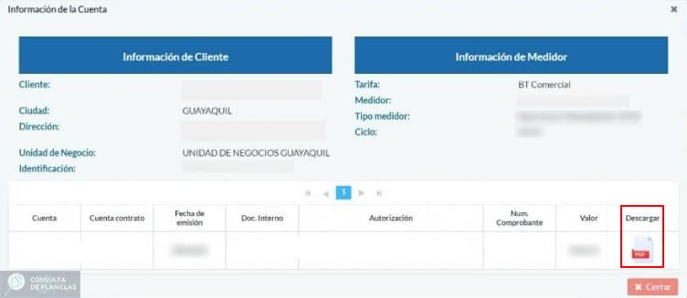 Cómo descargar la Planilla de luz en Bolívar